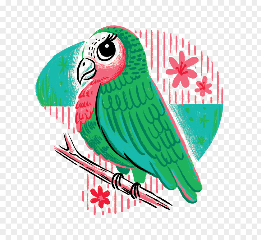 Painted Bird Creative Parrot Drawing Illustration PNG
