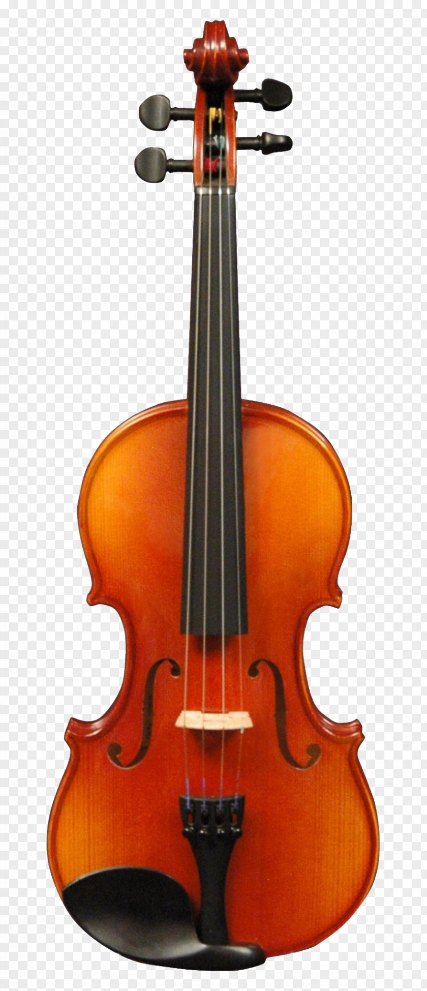 Bass Violin Tololoche String Instrument Musical Viola PNG