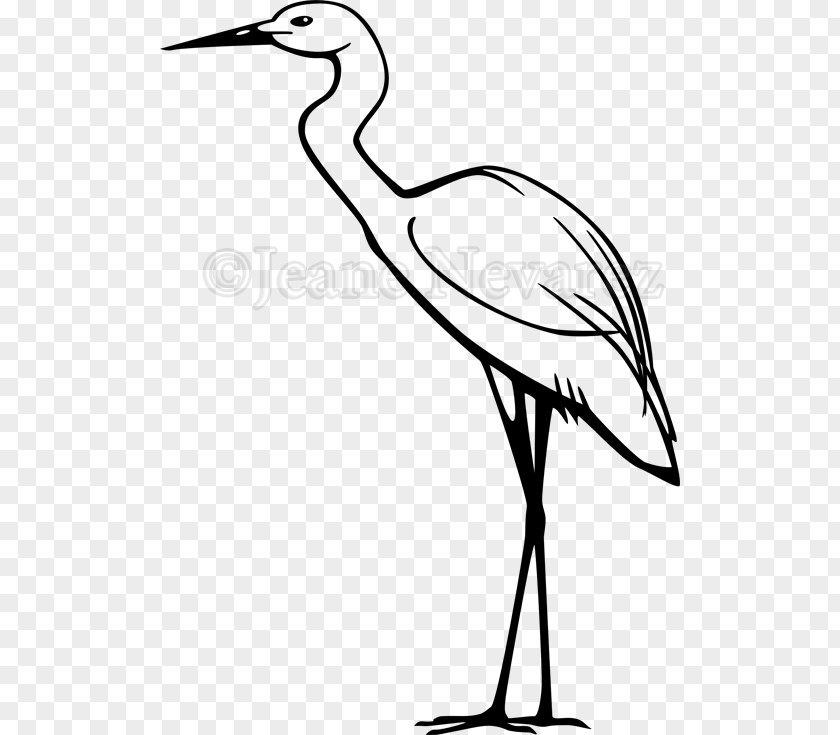 Hyraxes Heron Clip Art Great Egret Snowy PNG