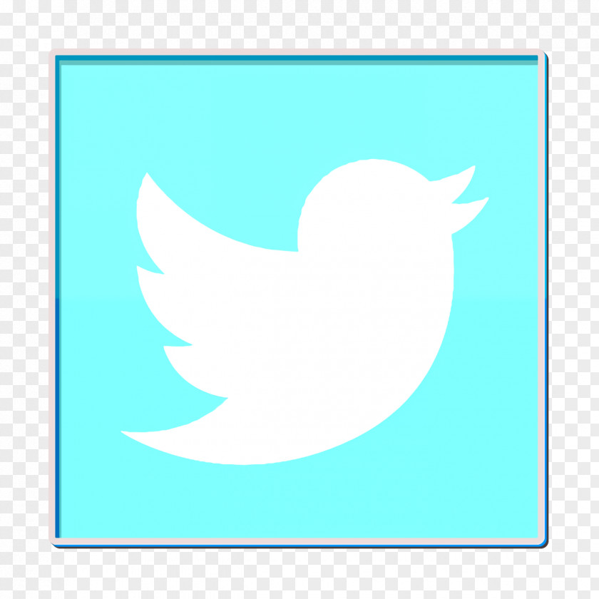 Logo Feather Social Network Icon Twitter PNG