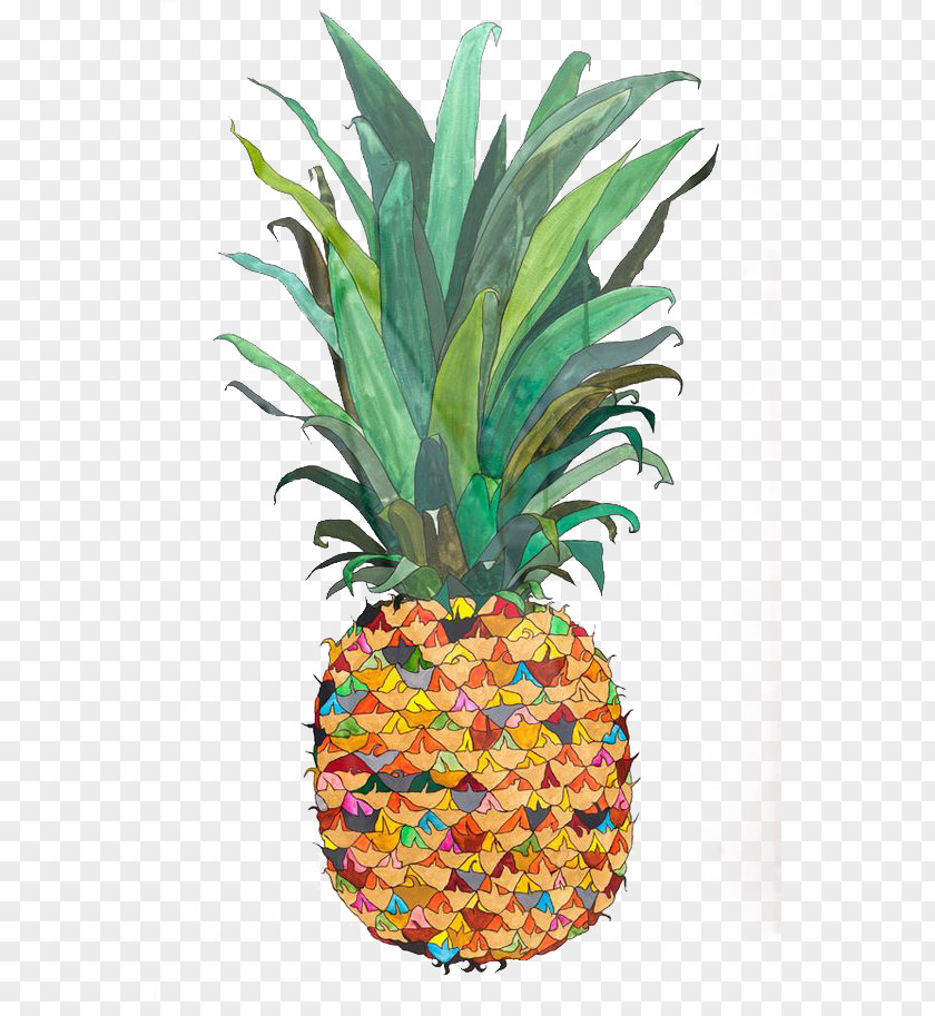 Pineapple Drawing Watercolor Painting Fruit Illustration PNG