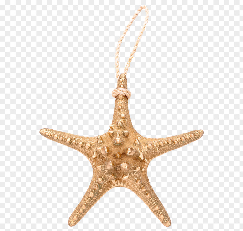 Starfish Charms & Pendants Christmas Ornament PNG