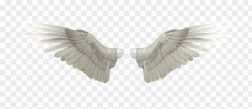 Angel Wings DeviantArt Heaven PNG