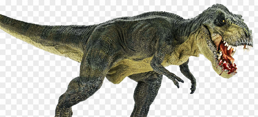 Dinosaur Tyrannosaurus Stegosaurus Allosaurus Acrocanthosaurus PNG