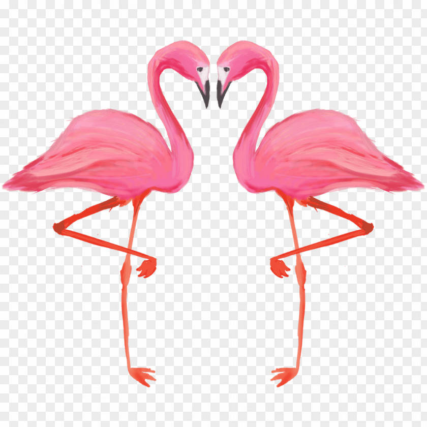 Flamingo Illustration Bird Greater American PNG