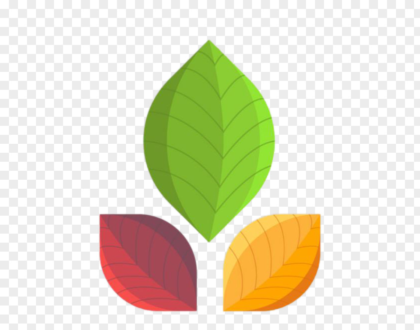 Three Color Clover Leaf PNG