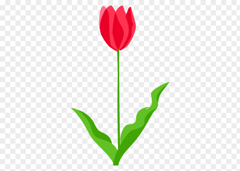 Tulip Illustration Flower Clip Art Plate-bande PNG