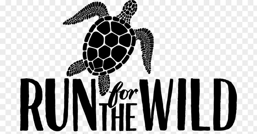 Turtle Running Sea Tortoise Logo Douchegordijn PNG