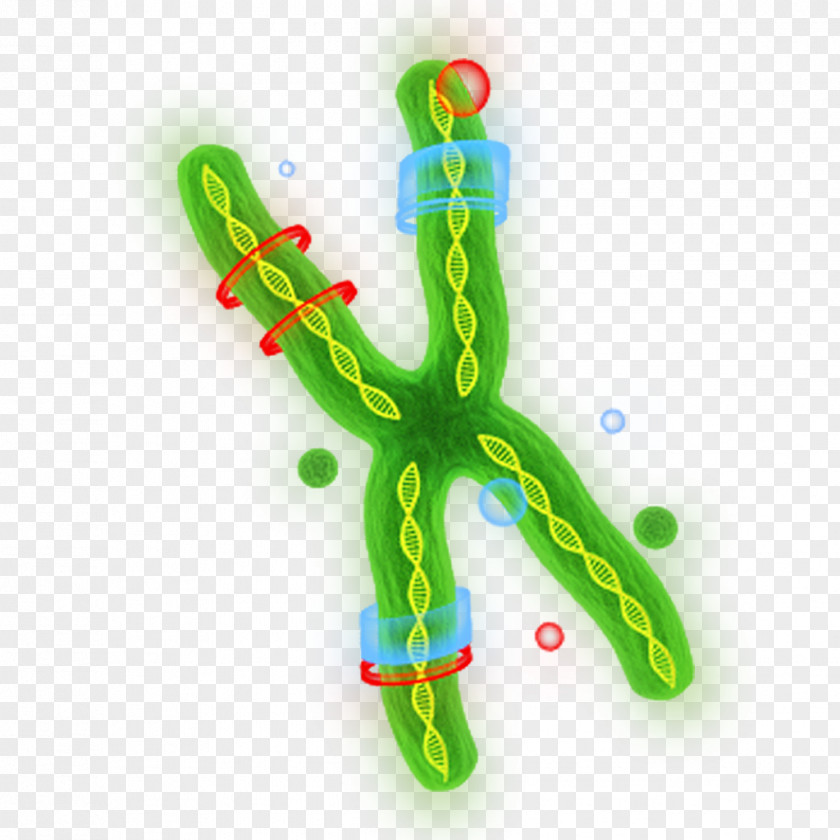Bacteria Gene Universe Planet Game PNG