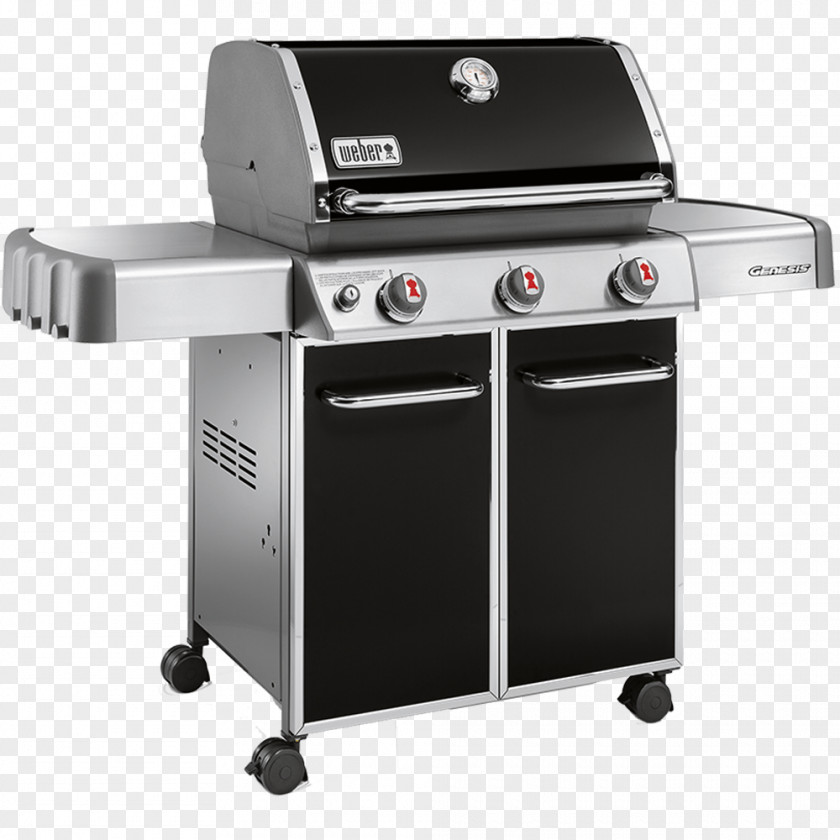 Barbecue Grill Weber-Stephen Products Natural Gas Burner Propane PNG