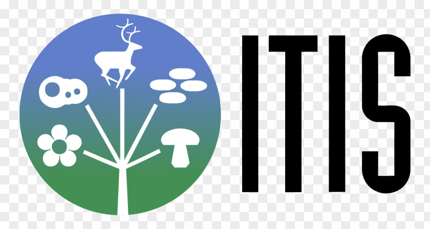 Information System Logo ITIS Nutrition PNG
