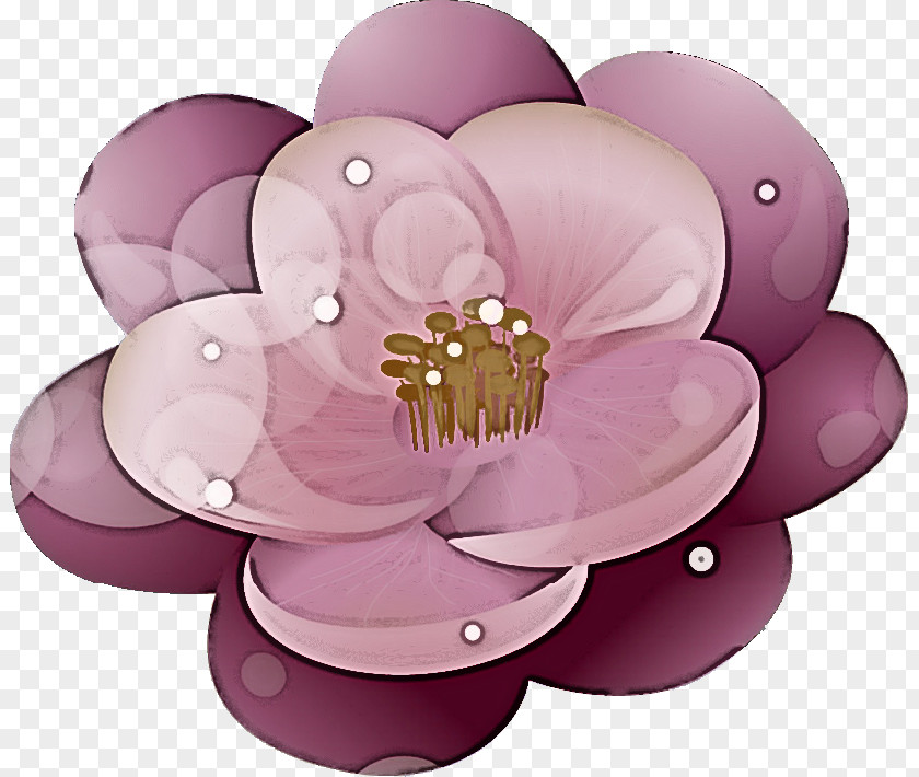 Lotus Flower PNG