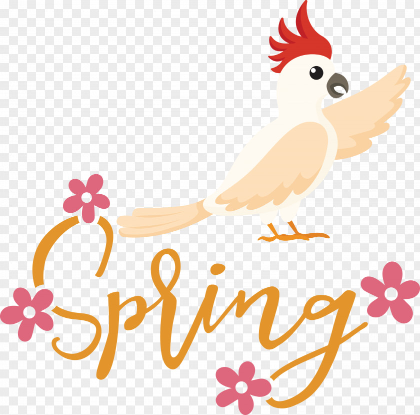 Spring Bird PNG