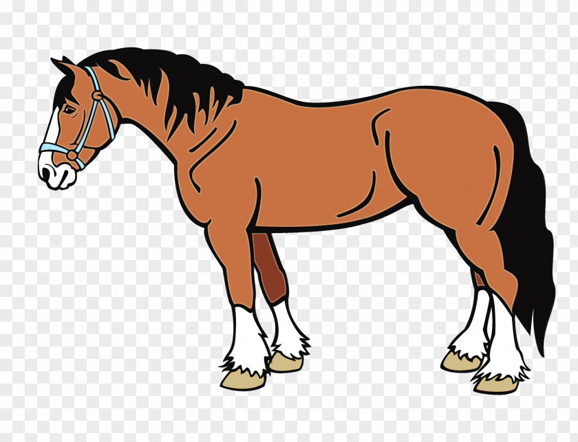 Stallion Horse Supplies Animal Figure Sorrel Mane Mare PNG