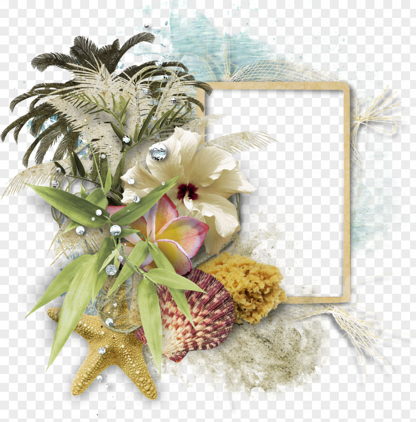 Starfish Cut Flowers Floral Design PNG