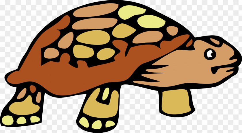 Turtle Tortoise Clip Art PNG