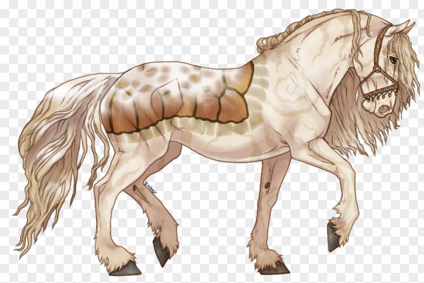 Albino Sea Turtle Lion Friesian Horse Mustang Chicken Smoothie PNG
