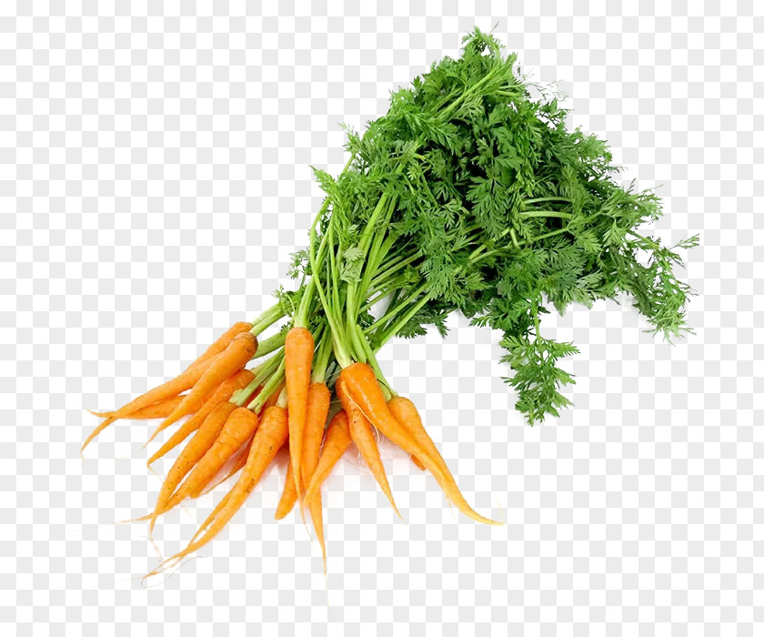 Carrot With Leaves Baby Leaf Vegetable Radish PNG