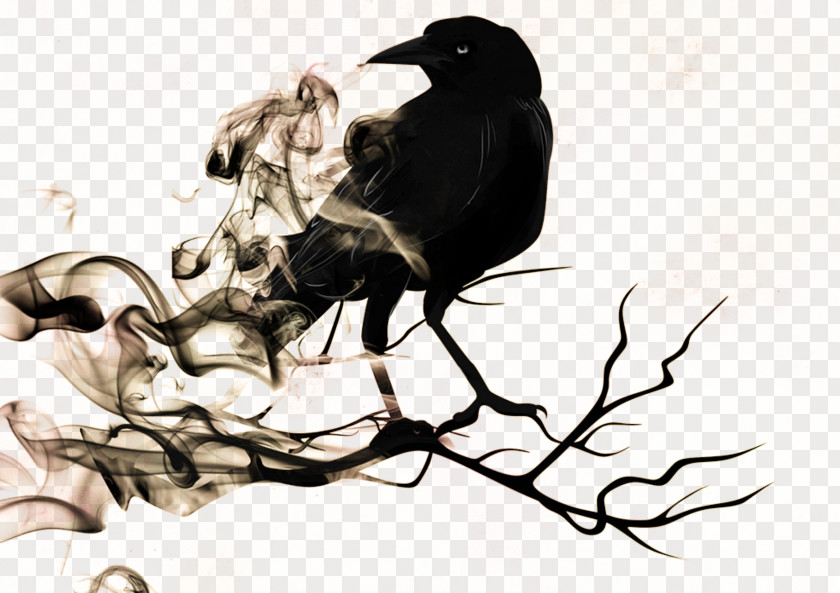 Crow The Raven Common Illustration PNG