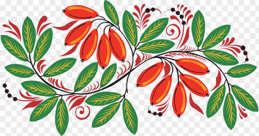 Drawing Ornament Motif Photography PNG