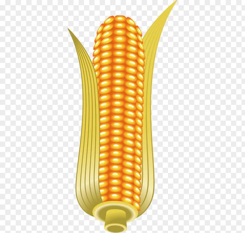 Golden Corn Pattern On The Cob Maize Clip Art PNG