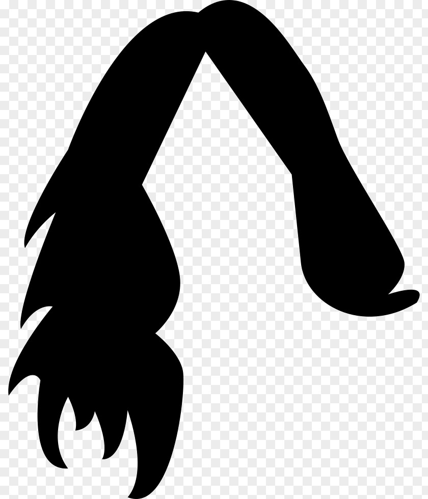 Hair Shape Black Long Moustache PNG