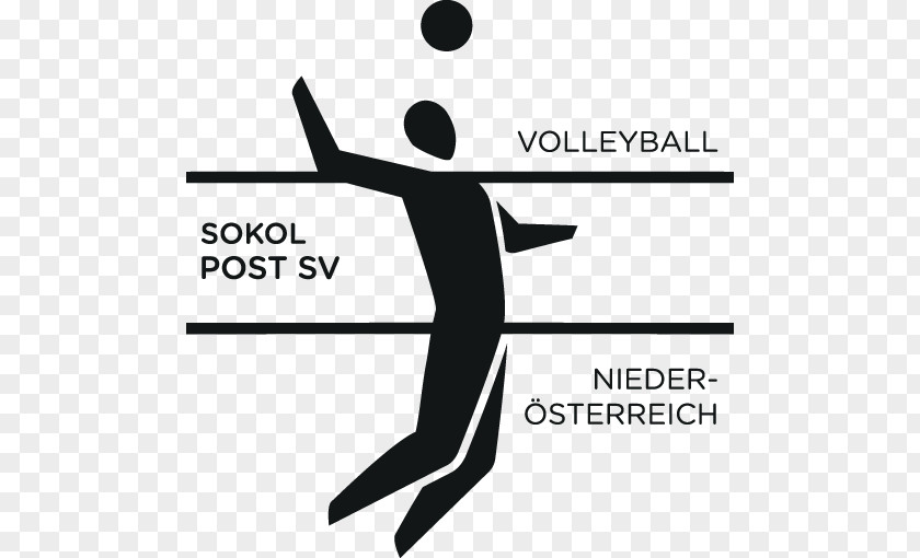 Volleyball SVS Post Schwechat FK Austria Wien Sport PNG
