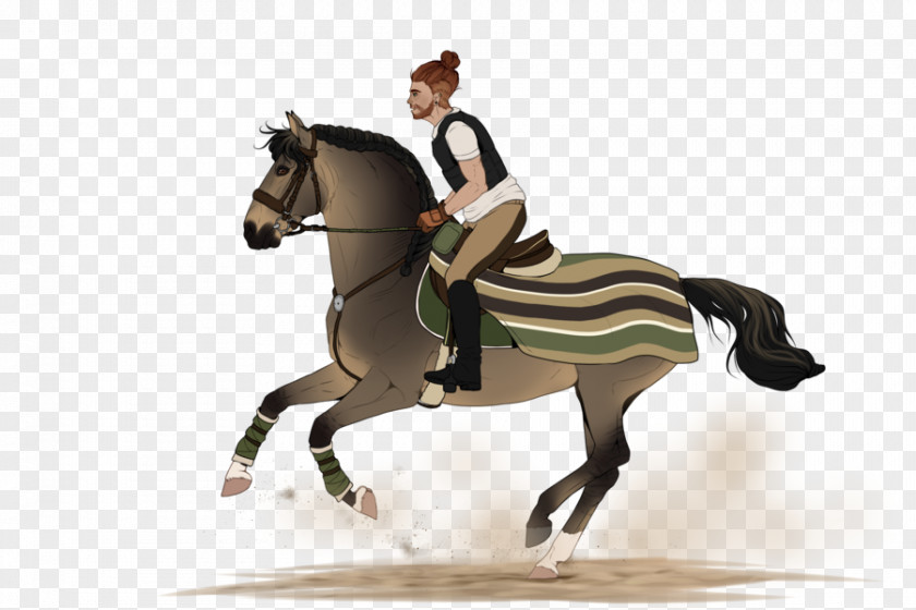 Horse Hunt Seat Stallion Drawing Equestrian PNG