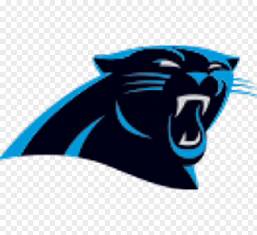 NFL Bank Of America Stadium 2017 Carolina Panthers Season New York Giants PNG