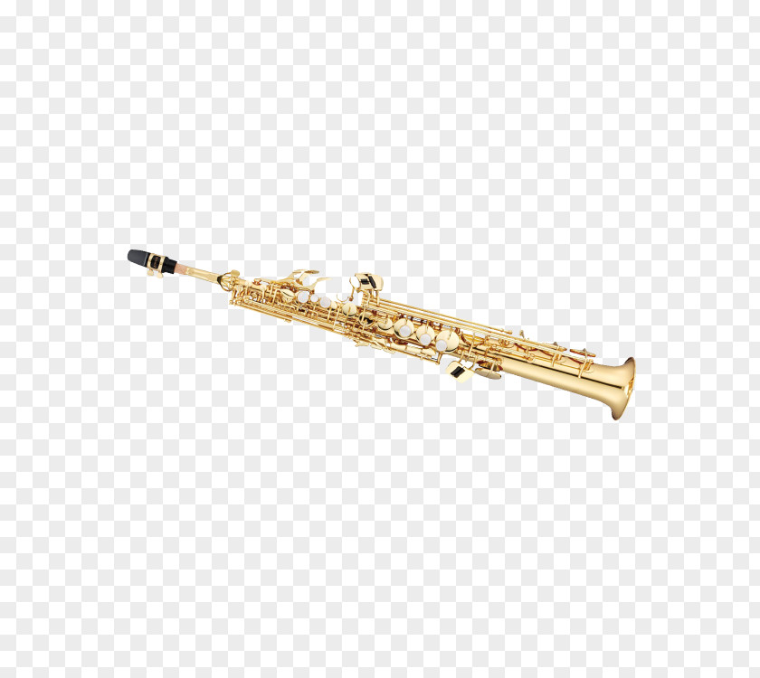 Saxophone Western Concert Flute Soprano Cor Anglais Piccolo PNG