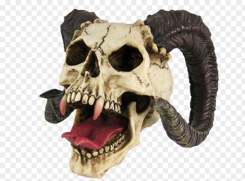 Vampire Skull Horn Figurine Statue Skeleton PNG