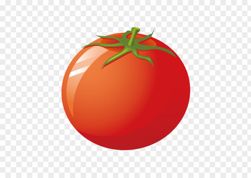 Vector Tomato Juice Cherry Vecteur PNG