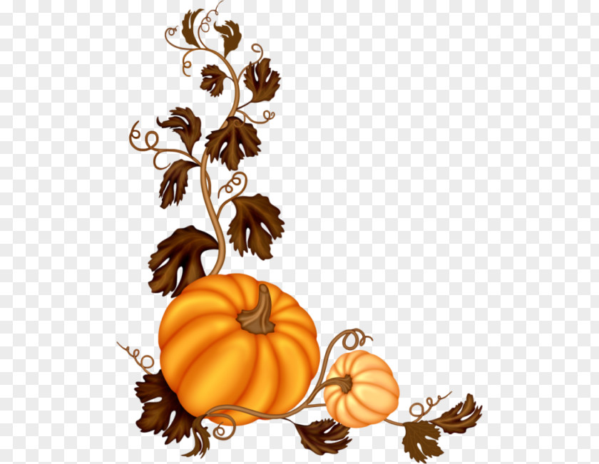Decorative Pumpkin Vine Software Clip Art PNG