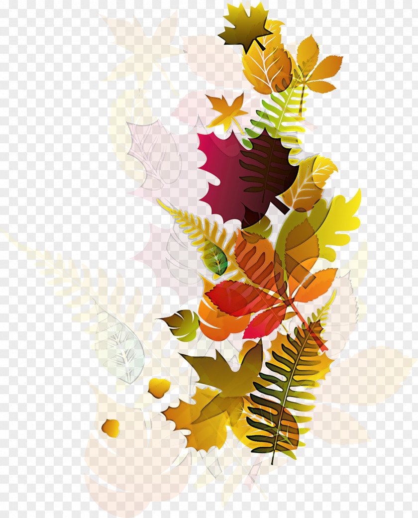 Fern PNG