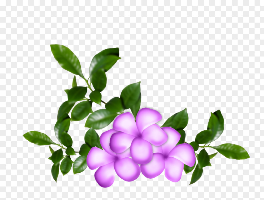 Flower Clip Art PNG