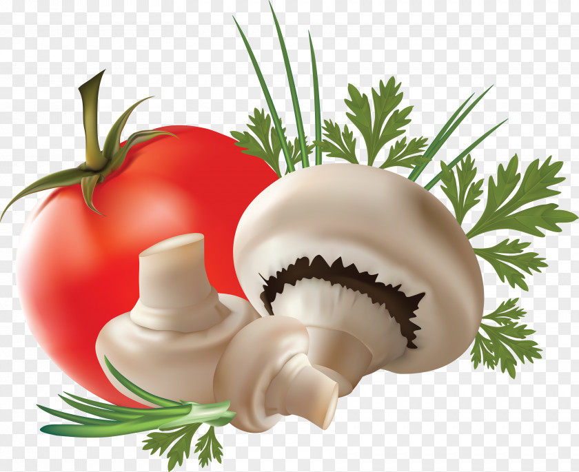 Mushroom Image Gratin Vegetable Tomato Food PNG