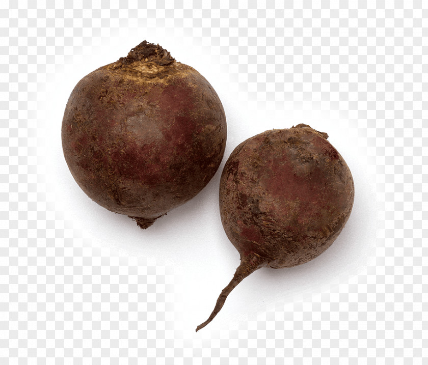 Vegetable Beetroot Common Beet Tuber Rutabaga PNG