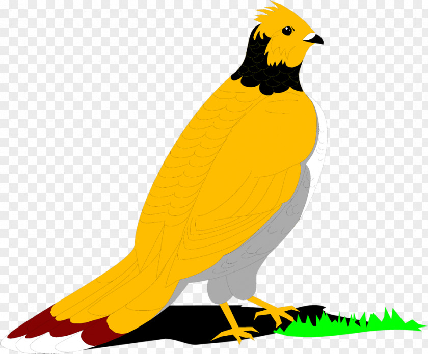 Little Yellow Bird Ruffed Grouse English Setter Clip Art PNG