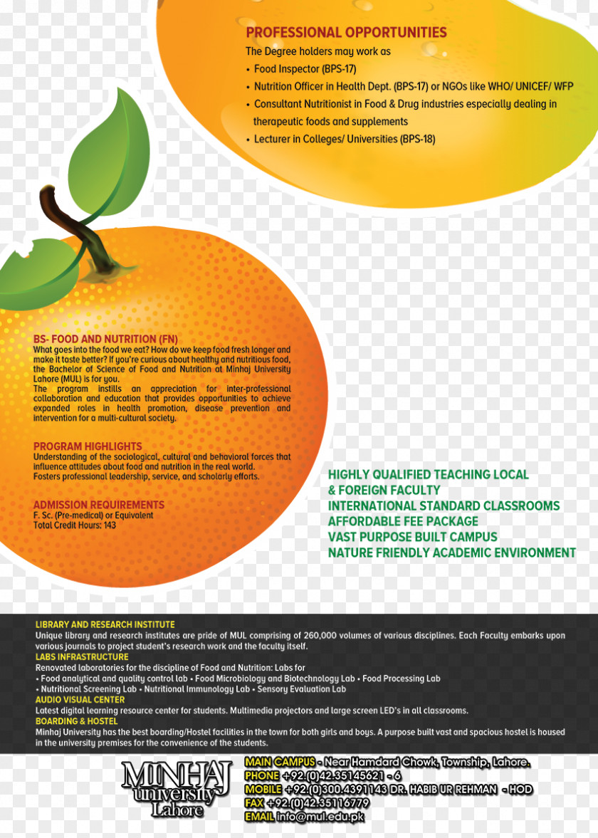 Nutrition Advertising Brand Brochure Font PNG