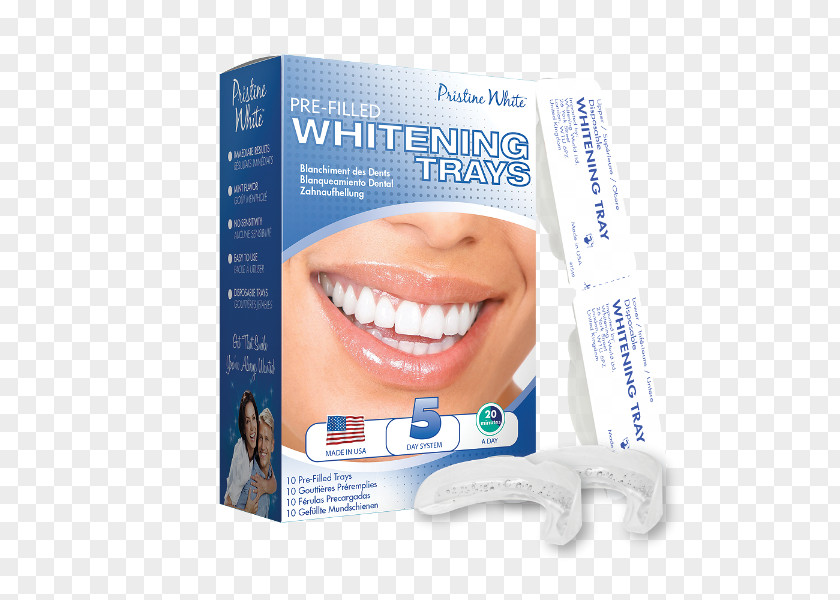 Teeth Whitening Tooth Bleach Dentistry Human PNG