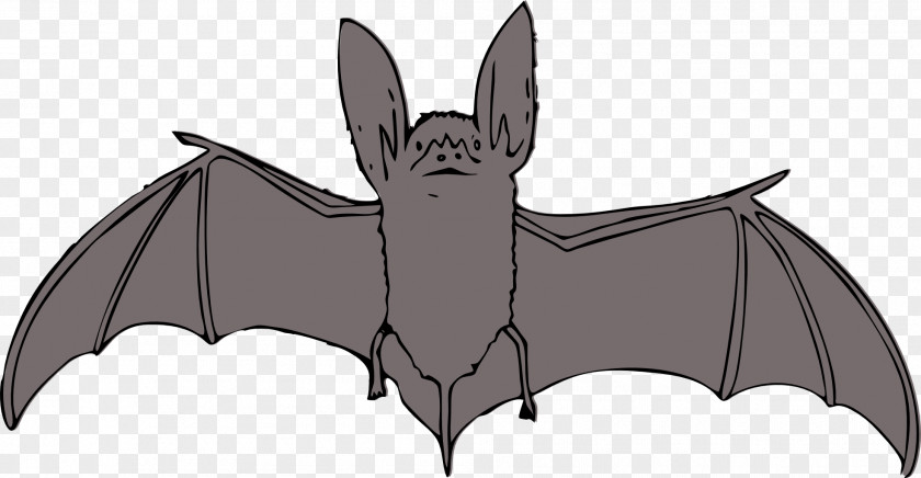 Bat Clip Art PNG