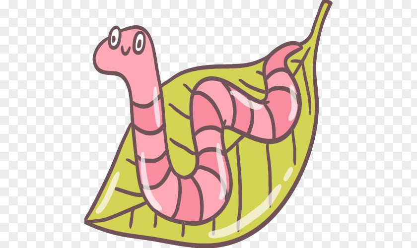 Earthworm Vector Graphics Illustration Image PNG