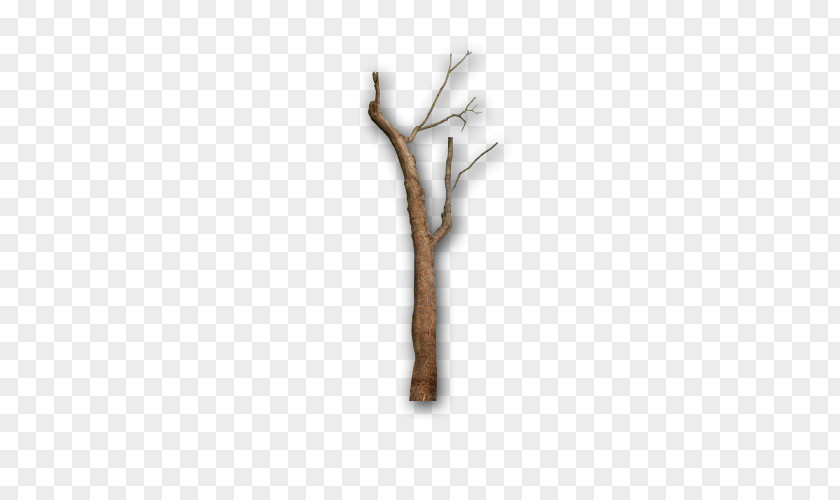 Gray Tree Branches Twig Branch PNG