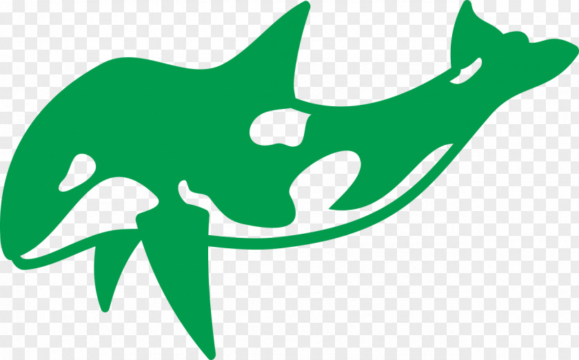 Green Dolphin Killer Whale Tattoo Pisces Sketch PNG