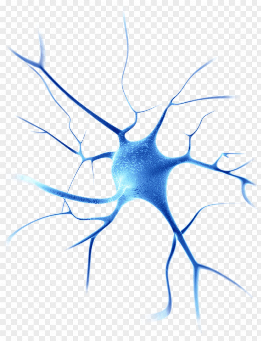 Nervous Neuroscience Gene Therapy Disease Cell Neuron PNG