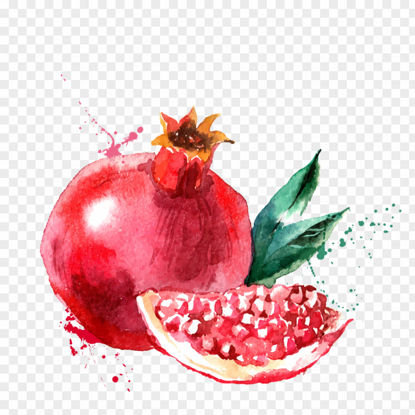 Pomegranate Juice Drawing Clip Art PNG