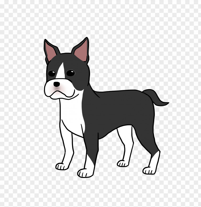 Puppy Boston Terrier Dog Breed Whiskers Non-sporting Group PNG