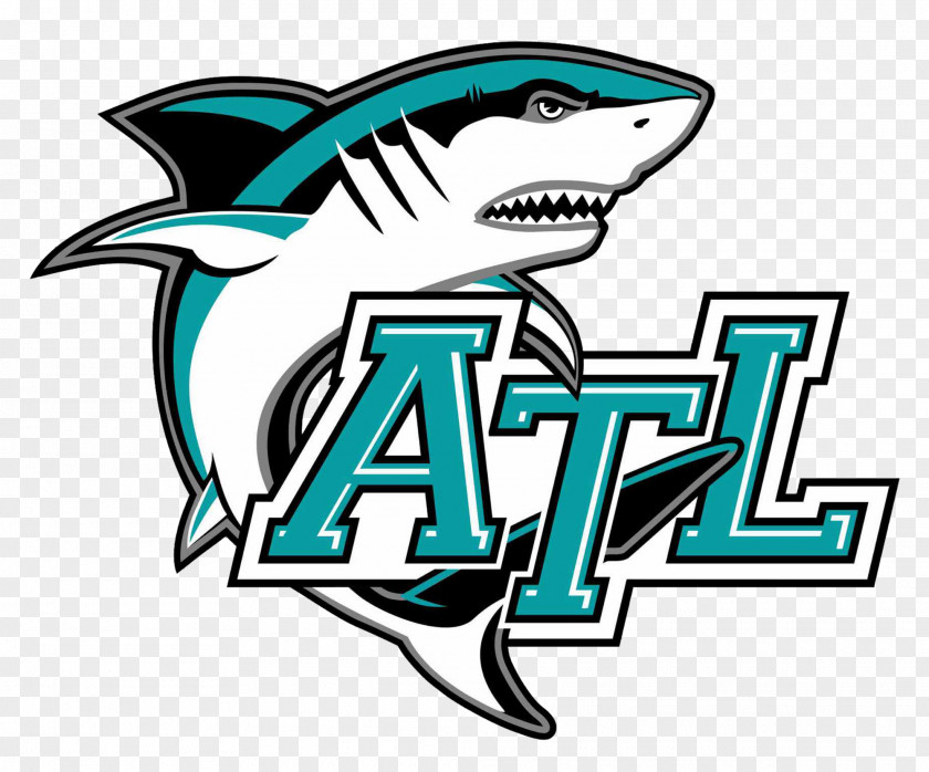 Sharks Daytona Beach Atlantic High School New Smyrna Port Orange National Secondary PNG