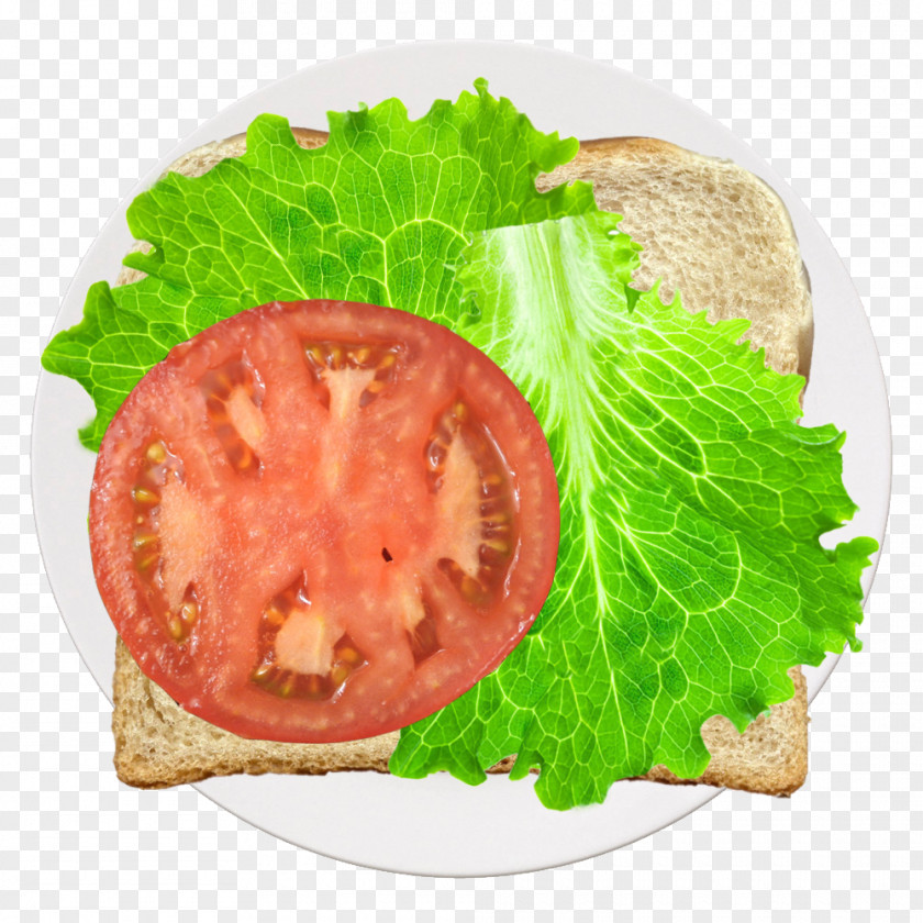 Tomato Lettuce Diet Food Recipe Garnish PNG