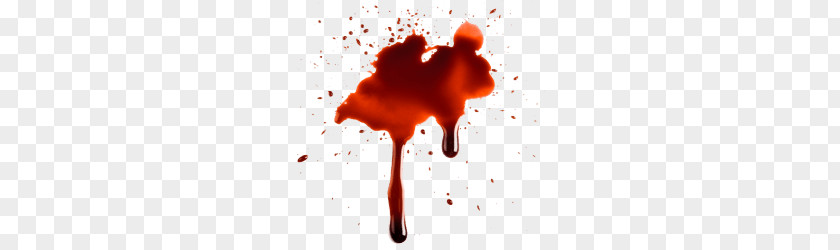 Blood PNG clipart PNG